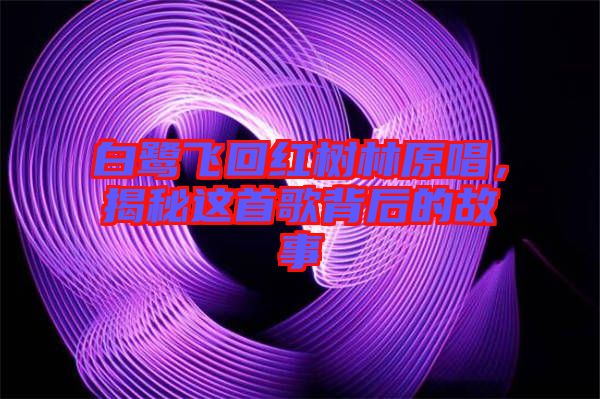 白鷺飛回紅樹林原唱，揭秘這首歌背后的故事