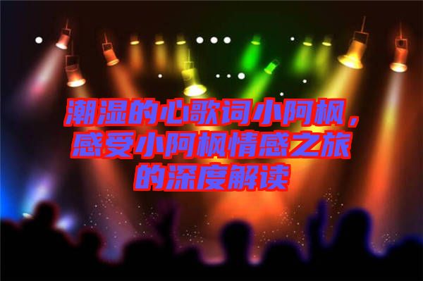 潮濕的心歌詞小阿楓，感受小阿楓情感之旅的深度解讀