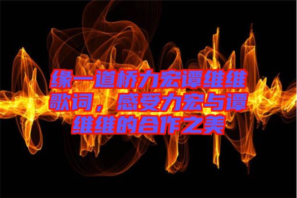 緣一道橋力宏譚維維歌詞，感受力宏與譚維維的合作之美