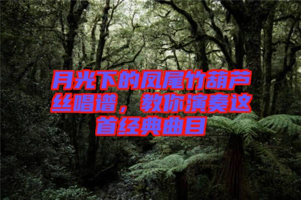 月光下的鳳尾竹葫蘆絲唱譜，教你演奏這首經(jīng)典曲目