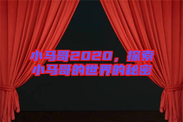 小馬哥2020，探索小馬哥的世界的秘密
