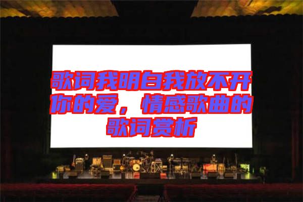 歌詞我明白我放不開你的愛，情感歌曲的歌詞賞析