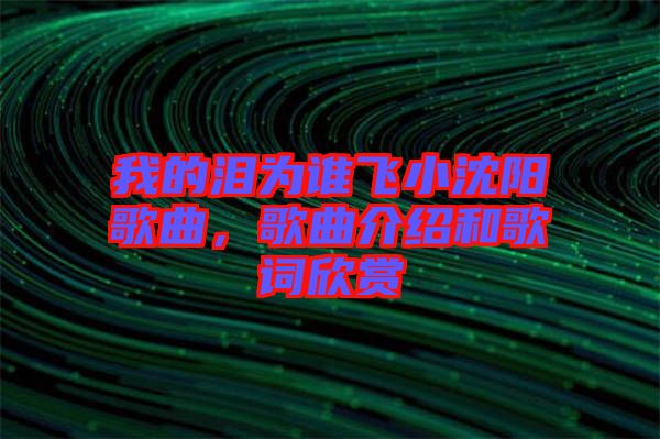 我的淚為誰飛小沈陽歌曲，歌曲介紹和歌詞欣賞