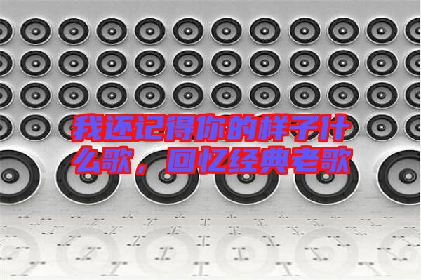 我還記得你的樣子什么歌，回憶經(jīng)典老歌