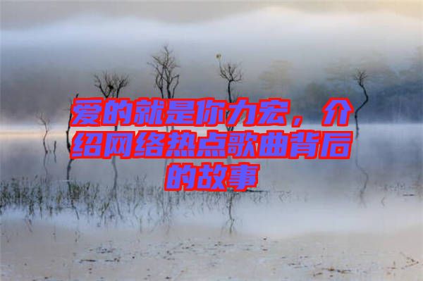愛(ài)的就是你力宏，介紹網(wǎng)絡(luò)熱點(diǎn)歌曲背后的故事
