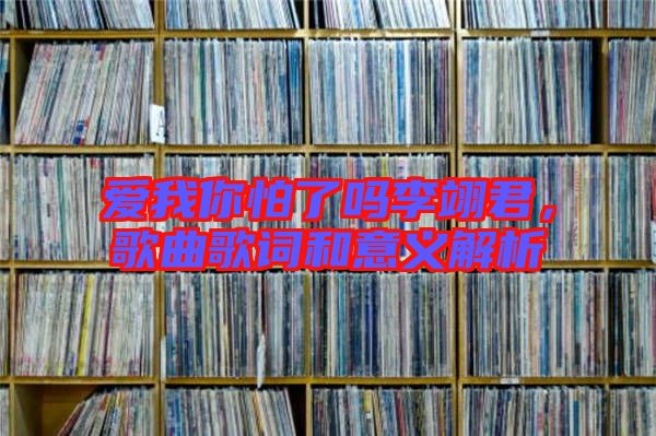 愛我你怕了嗎李翊君，歌曲歌詞和意義解析