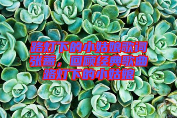 路燈下的小姑娘歌詞張薔，回顧經(jīng)典歌曲路燈下的小姑娘