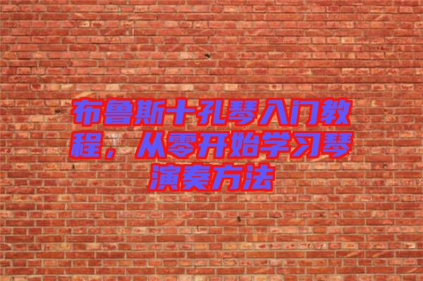 布魯斯十孔琴入門教程，從零開始學(xué)習(xí)琴演奏方法