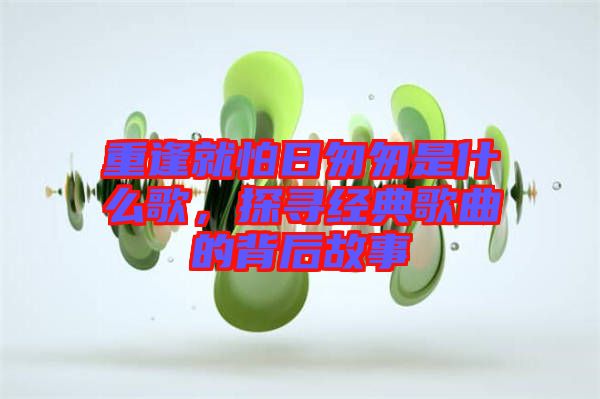 重逢就怕日匆匆是什么歌，探尋經(jīng)典歌曲的背后故事