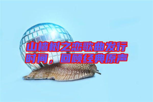 山楂樹之戀歌曲發(fā)行時間，回顧經(jīng)典原聲