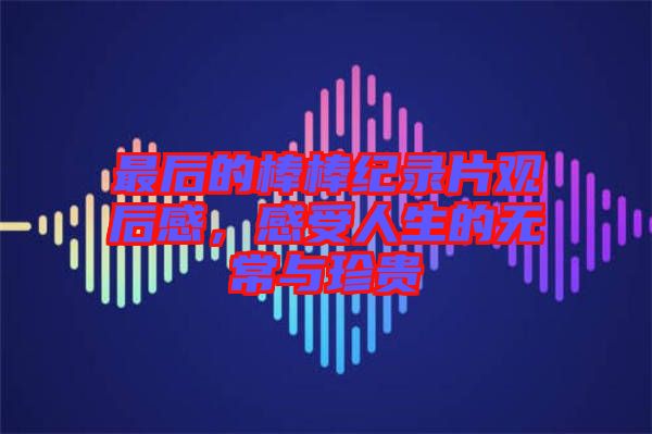 最后的棒棒紀錄片觀后感，感受人生的無常與珍貴