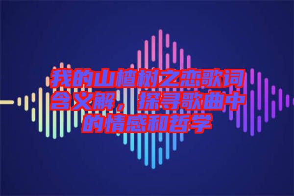 我的山楂樹之戀歌詞含義解，探尋歌曲中的情感和哲學(xué)