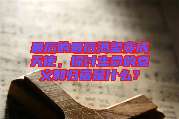 最后的最后渴望變成天使，探討生命的意義和歸宿是什么？