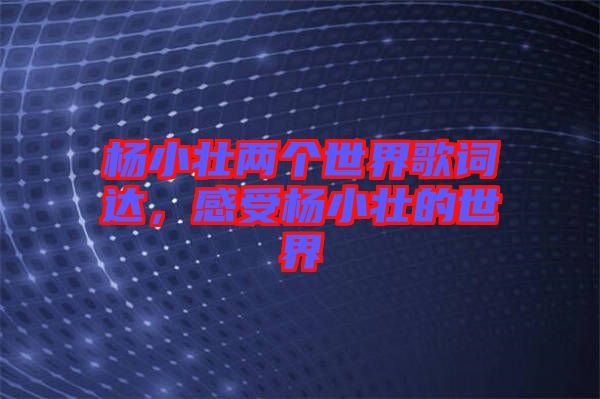 楊小壯兩個世界歌詞達，感受楊小壯的世界