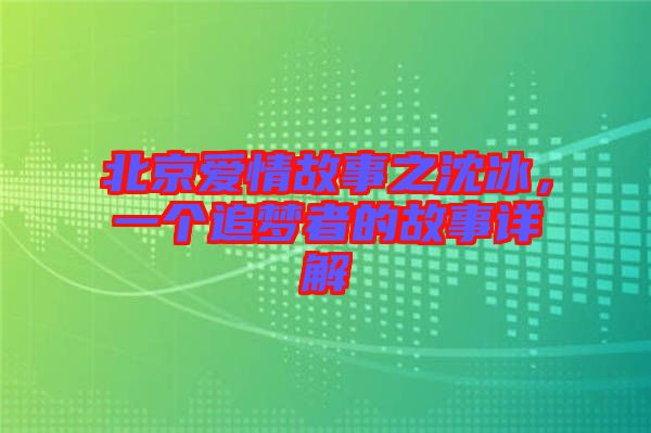 北京愛情故事之沈冰，一個(gè)追夢(mèng)者的故事詳解