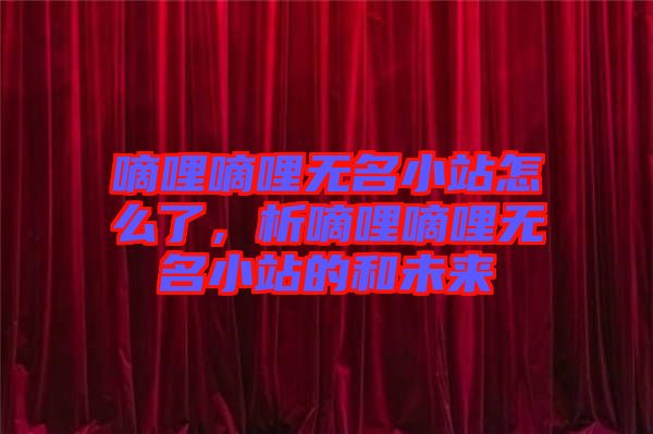 嘀哩嘀哩無名小站怎么了，析嘀哩嘀哩無名小站的和未來