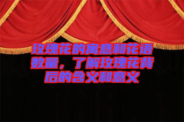 玫瑰花的寓意和花語數(shù)量，了解玫瑰花背后的含義和意義
