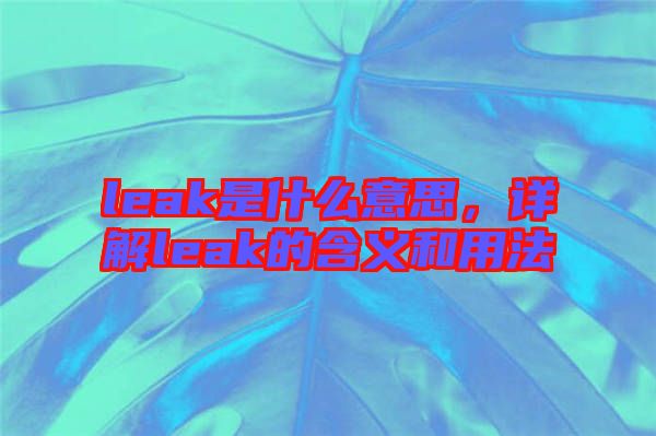 leak是什么意思，詳解leak的含義和用法