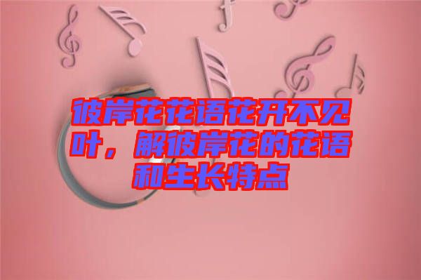 彼岸花花語花開不見葉，解彼岸花的花語和生長特點(diǎn)