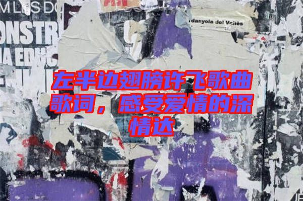 左半邊翅膀許飛歌曲歌詞，感受愛情的深情達(dá)
