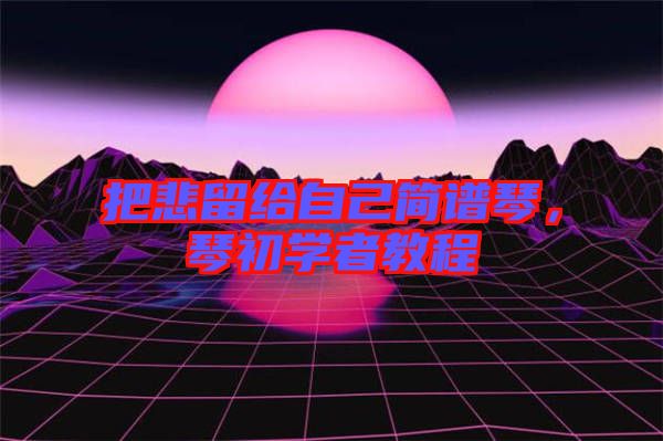 把悲留給自己簡譜琴，琴初學(xué)者教程