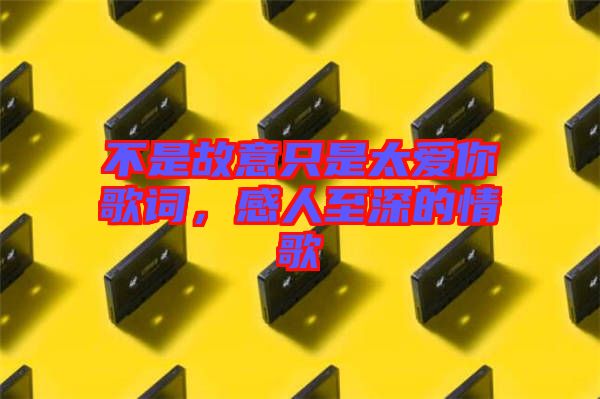 不是故意只是太愛你歌詞，感人至深的情歌