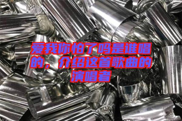 愛我你怕了嗎是誰唱的，介紹這首歌曲的演唱者