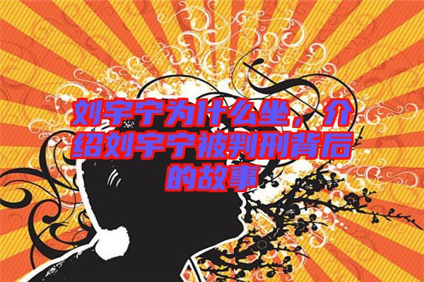 劉宇寧為什么坐，介紹劉宇寧被判刑背后的故事