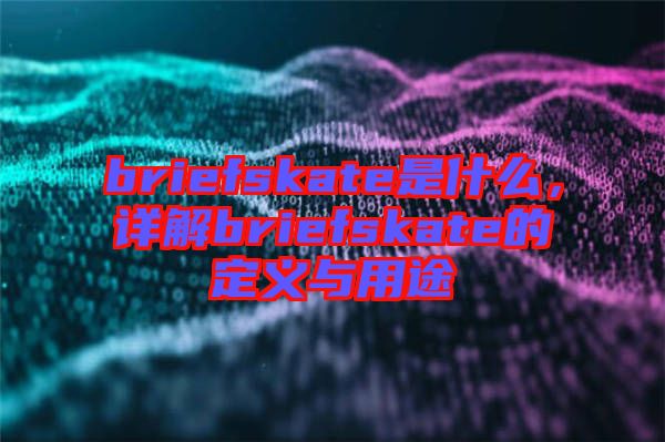 briefskate是什么，詳解briefskate的定義與用途