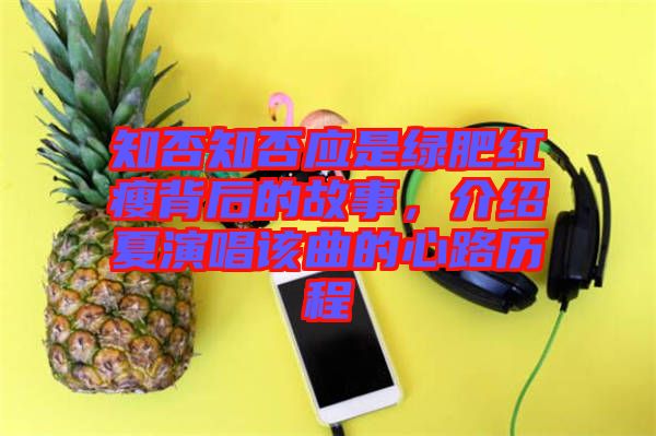 知否知否應(yīng)是綠肥紅瘦背后的故事，介紹夏演唱該曲的心路歷程