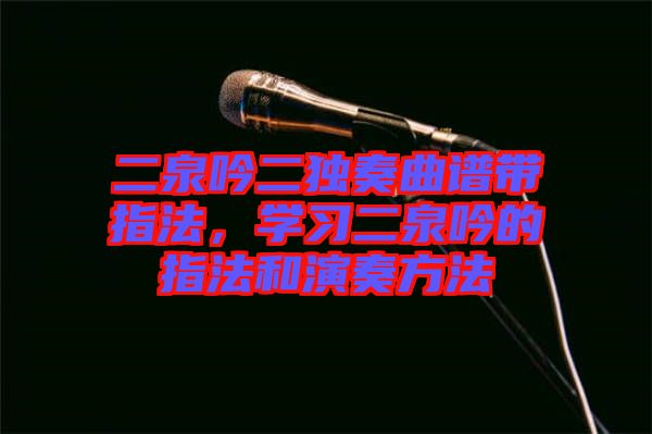 二泉吟二獨(dú)奏曲譜帶指法，學(xué)習(xí)二泉吟的指法和演奏方法