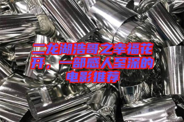 二龍湖浩哥之幸?；ㄩ_，一部感人至深的電影推薦