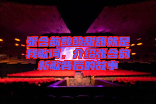 張含韻酸酸甜甜就是我歌詞，介紹張含韻新歌背后的故事