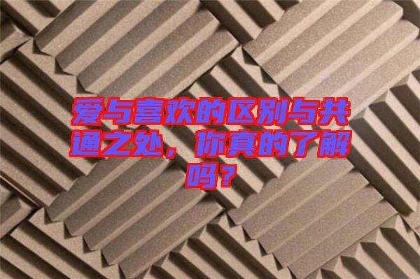 愛與喜歡的區(qū)別與共通之處，你真的了解嗎？