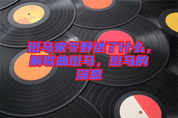 斑馬宋冬野達(dá)了什么，解歌曲斑馬，斑馬的深意