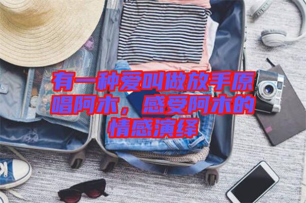 有一種愛(ài)叫做放手原唱阿木，感受阿木的情感演繹