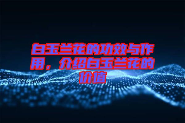 白玉蘭花的功效與作用，介紹白玉蘭花的價(jià)值