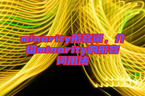 minority形容詞，介紹minority的形容詞用法
