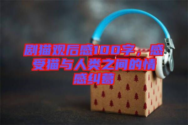 劇貓觀后感100字，感受貓與人類之間的情感糾葛