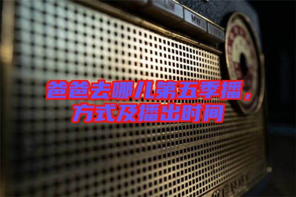 爸爸去哪兒第五季播，方式及播出時間