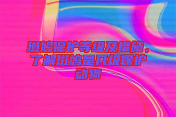 斑鳩保護等級及措施，了解斑鳩是幾級保護動物