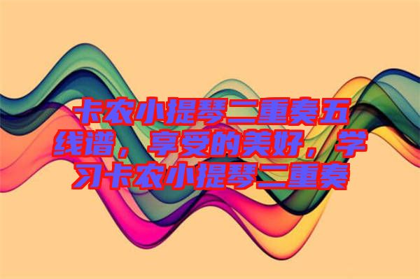 卡農(nóng)小提琴二重奏五線譜，享受的美好，學習卡農(nóng)小提琴二重奏