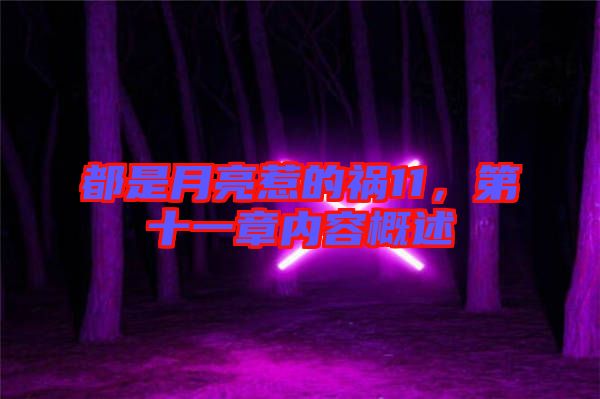 都是月亮惹的禍11，第十一章內(nèi)容概述