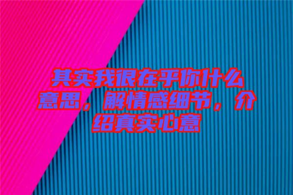 其實我很在乎你什么意思，解情感細(xì)節(jié)，介紹真實心意