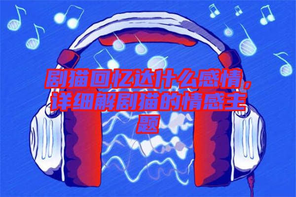 劇貓回憶達什么感情，詳細解劇貓的情感主題
