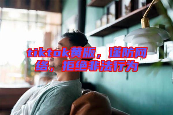 tiktok黃版，謹防網(wǎng)絡(luò)，拒絕非法行為