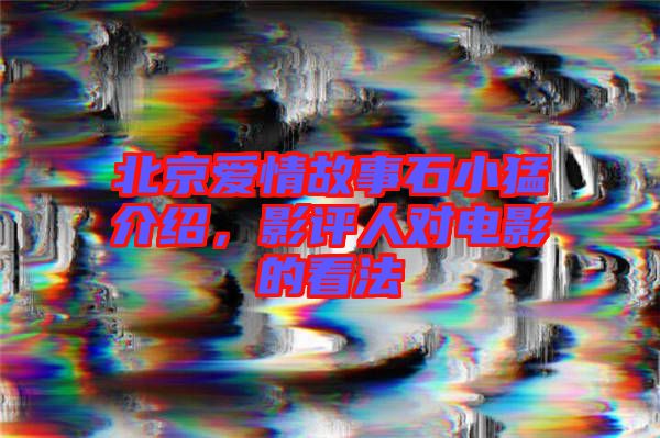 北京愛(ài)情故事石小猛介紹，影評(píng)人對(duì)電影的看法