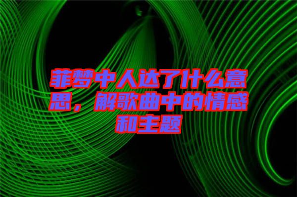 菲夢(mèng)中人達(dá)了什么意思，解歌曲中的情感和主題