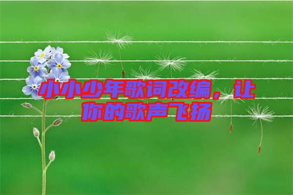 小小少年歌詞改編，讓你的歌聲飛揚(yáng)