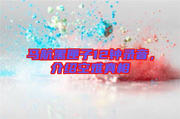馬航黑匣子12鐘錄音，介紹空難真相